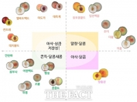  농촌진흥청, '맞춤 복숭아 맛 지도' 작성…18개 품종·4개 묶음 시각화