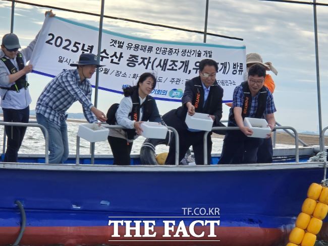 새조개와 우럭조개 방류 모습 /경기도해양수산자원연구소