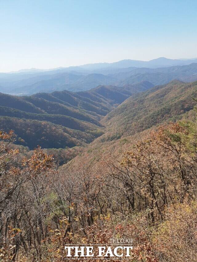 칠갑산 아흔아홉골. /충남도