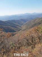  충남도 산림자원연구소, 칠갑산도립공원 가을맞이 탐방로 정비 완료