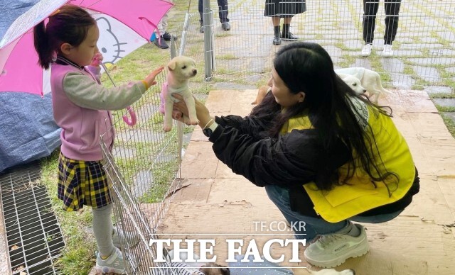 정읍시는 2025년 유기동물 펫보험 가입비 지원 사업을 통해 정읍시 동물보호소에서 유기·유실동물을 입양한 가정에 대해 1년간 펫보험료를 최대 15만 원까지 지원한다. /정읍시