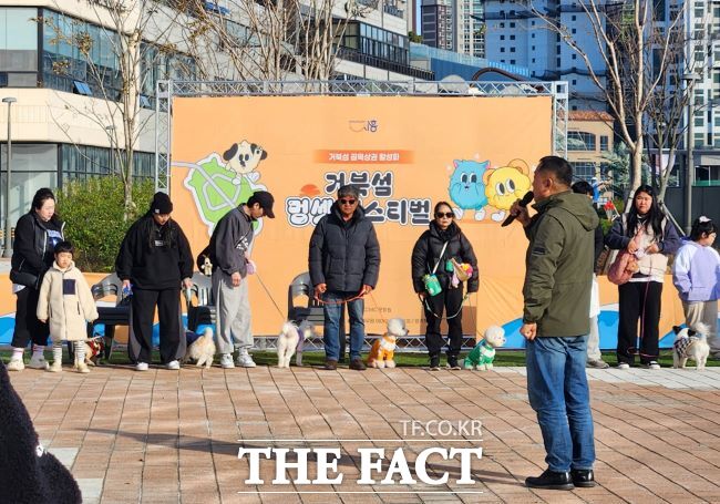 지난해 열린 거북섬 멍셋 페스티벌 반려견 산책 교육 모습./시흥시