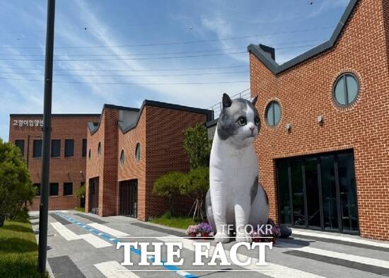 경기도가 운영하는 반려마루 화성 내에 위치한 고양이 입양센터의 모습. /경기도