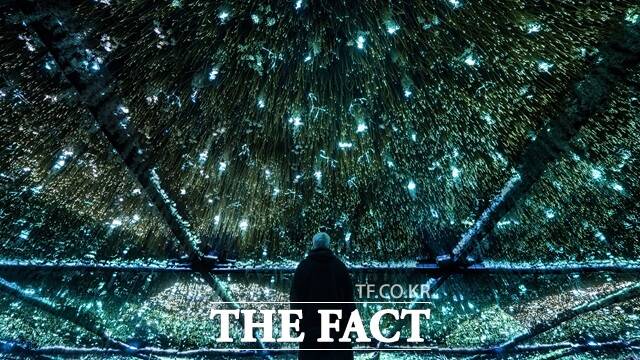 서울시는 24일 내달 3일부터 12일까지 뚝섬한강공원 일대에서 서울라이트 한강 빛섬축제를 개최한다고 밝혔다./서울시