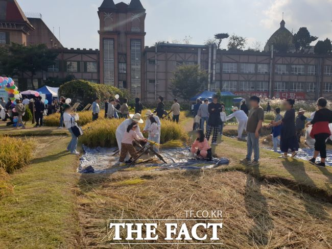 지난해 도시농부 가을걷이 체험행사 모습 /시흥시