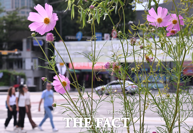 금요일인 26일은 남부지방과 제주를 중심으로 가끔 비가 내리겠다. 이날 아침 사이 중부내륙과 인천, 경기 서해안, 경북중·북부내륙을 중심으로 짙은 안개가 끼는 곳이 있겠다./이새롬 기자