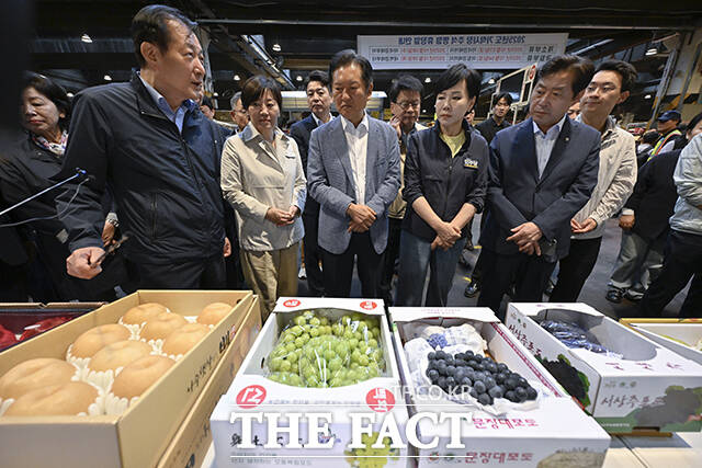 정청래 더불어민주당 대표(가운데)가 25일 추석맞이 물가점검을 위해 서울 송파구 가락동 농수산물도매시장을 방문해 과일을 살펴보고 있다. 왼쪽 두번째부터 송미령 농림축산식품부 장관, 정 대표, 전현희 최고위원, 황명선 최고위원. /국회사진기자단