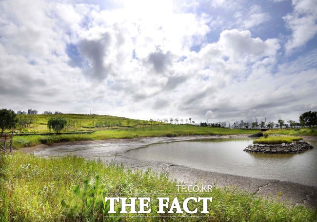 시흥 배곧생명공원 전경./시흥시