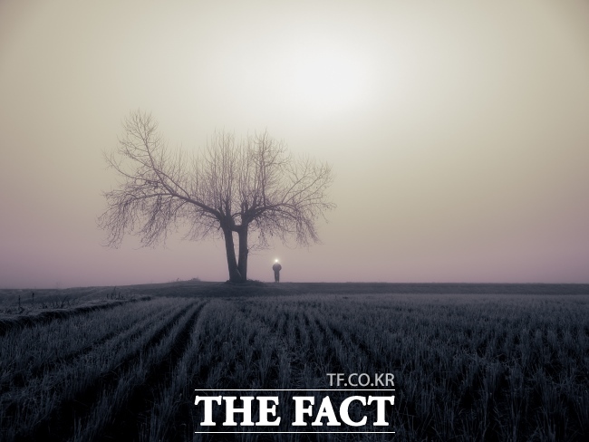 얼음 나무/김남국