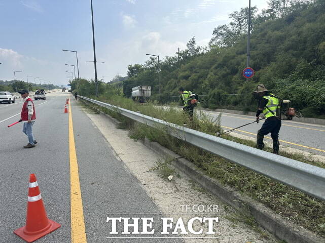 세종시가 추석을 대비해 도로변 예초작업을 펼치고 있다. /세종시
