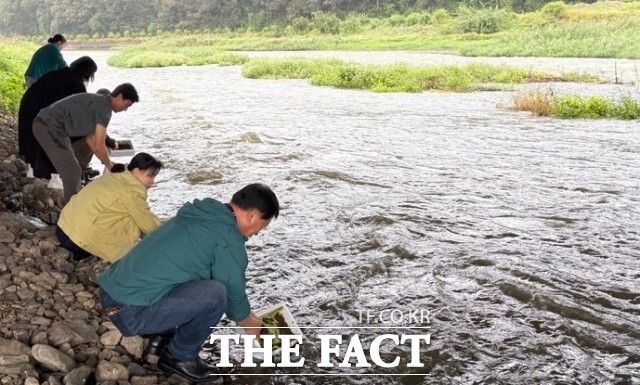 정읍시가 지난 25일 산외면 동진천에 다슬기 27만 마리를 방류하며 하천 생태계 복원과 수질 개선에 나섰다. /정읍시