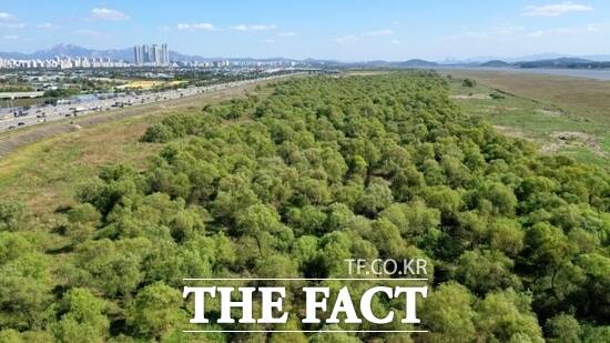 고양시가 탄소중립 도시로 나아갈 수 있는 자산인 고양 장항습지의 전경./고양시