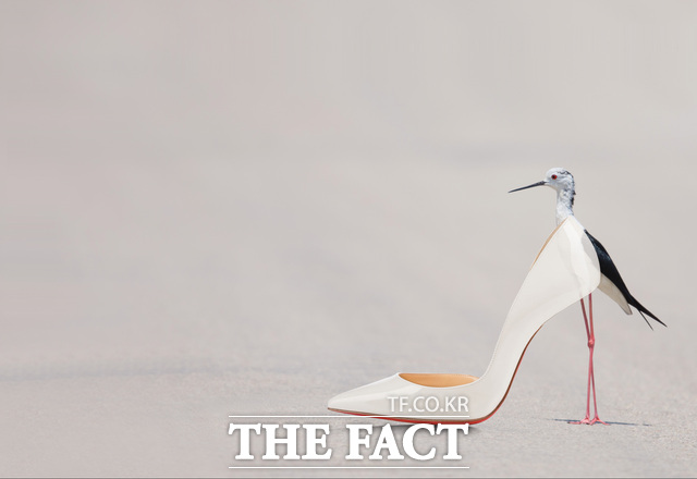 나광호 작가의 맨드라미 목판화 작품. /충남문화관광재단