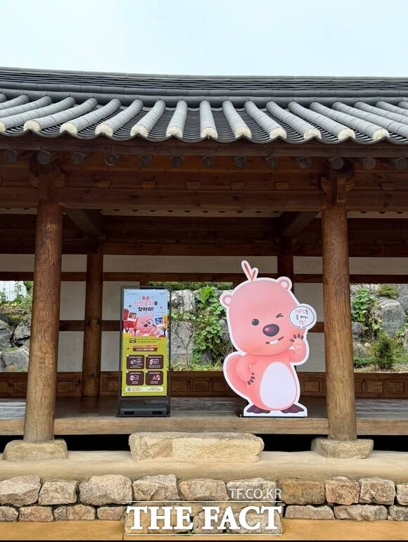 당진 면천읍성 내 잔망루피 포토존. /당진시