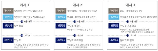 우수회원 등급 재심사 예시. /대한항공