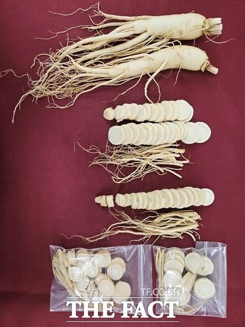장기 저장을 위해서 깨끗이 씻은 뒤 얇게 썰어 소분된 인삼. /충남도