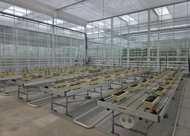 소형 DAC 설비 실증이 이뤄지고 있는 경상북도 상주 스마트팜혁신밸리 내에 위치한 에코프로에이치엔의 온실 모습. /에코프로에이치엔