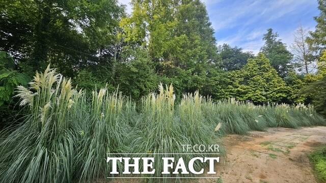 청산 수목원 모습. /태안군