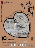  고창군, '넓적부리도요' 10월 고창갯벌 이달의 새 선정