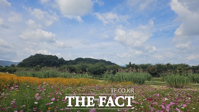 창포원 가을 풍경 /거창군