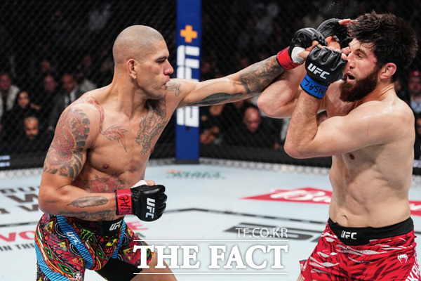 메인 이벤트에선 UFC 라이트헤비급(93kg) 챔피언 마고메드 안칼라예프(33·러시아, 오른쪽)가 전 챔피언이자 랭킹 1위인 ‘포아탄(돌주먹)’ 알렉스 페레이라(38·브라질)를 상대로 1차 방어전을 치른다. /UFC