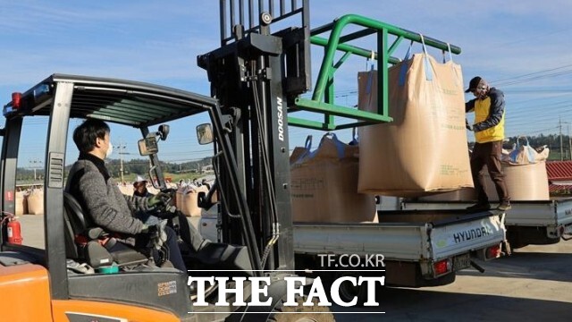 정읍시가 10월 10일 산물벼 매입을 시작으로 연말까지 2025년산 공공비축미곡 1만 1996톤을 본격적으로 사들인다. /정읍시