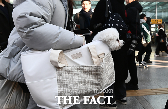 현행 동물보호법은 유기 행위에 대해 300만 원 이하의 벌금에 처하도록 규정돼 있으나, 추적이 어렵고 처벌 강도도 낮아 실효성이 떨어진다는 지적이 나온다. 사진은 지난 설 연휴 서울 용산구 서울역에서 한 시민이 반려견과 함께 귀성길에 오르는 모습. 사진은 기사 내용과 직접적 관련이 없음. /박헌우 기자