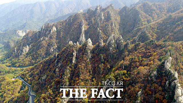 기상청은 올해 설악산의 첫 단풍이 2일 시작했다고 밝혔다. 올해 설악산 첫 단풍일은 지난해보다 이틀 빠르고, 평년보다 나흘 늦었다. /임세준 기자