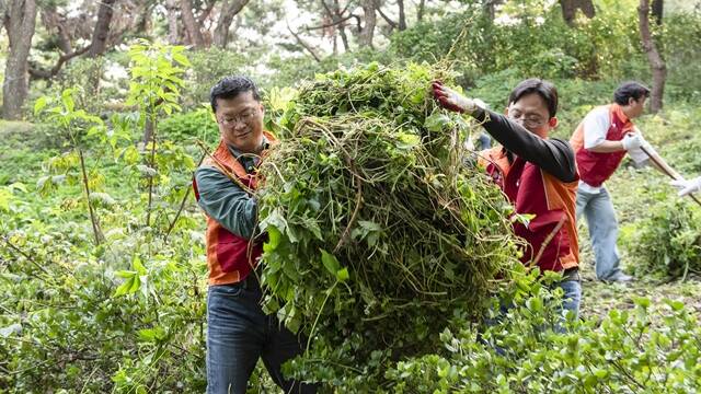 이호정 SK네트웍스 대표이사(왼쪽)가 지난 1일 남산공원 소래풀군락지에서 유해식물 제거 활동을 펼치고 있다. /SK네트웍스