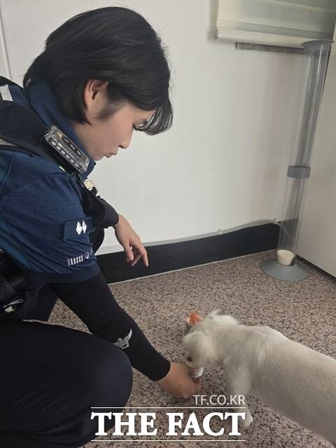 강민주 순경이 인계 받은 유기견을 돌보는 모습. /독자 제공