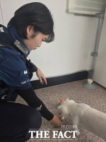  경찰 눈썰미 덕에 유기보호센터 넘겨질뻔한 반려견 주인 찾아