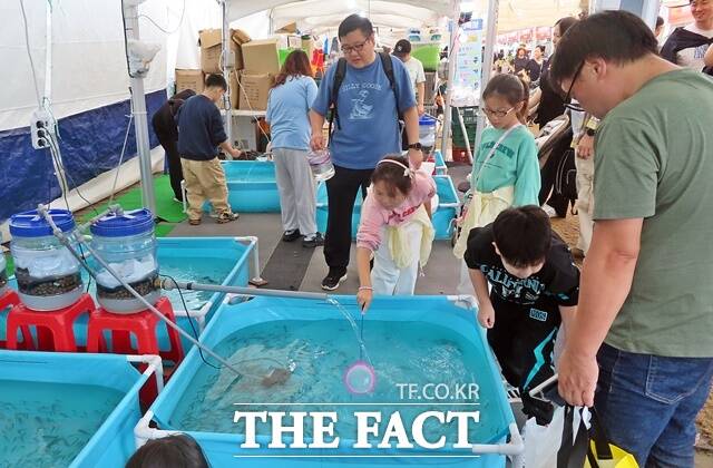 어린이들이 백제문화제가 열리고 있는 공주시 신관공원 물고기 잡기 체험 코너에서 즐거운 시간을 보내고 있다. /김형중 기자