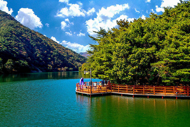 제천 의림지 한방치유숲길./산림청