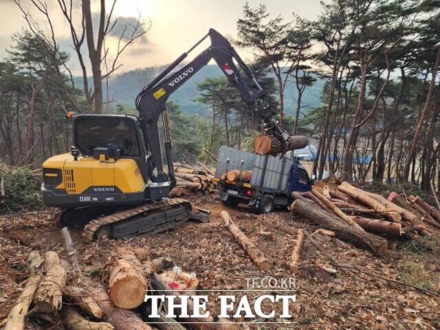 소나무재선충 감영 고사목 제거 작업 현장 모습. /예산군.