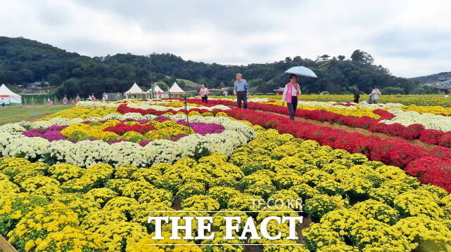 공주시 신관공원에 조성된 꽃밭에서 관광객들이 사진을 찍고 있다. /김형중 기자
