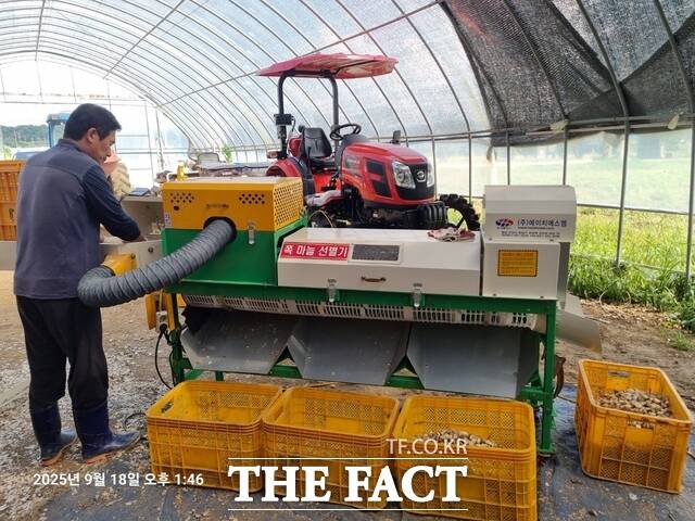 당진시 마늘 수확 지원 장비 마늘쪽 분리기 /당진시