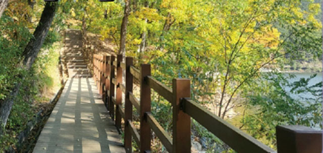 대구 비슬산둘레길./산림청