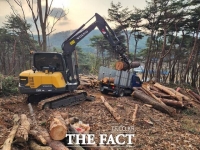  예산군, 소나무재선충병 확산 차단 '총력'