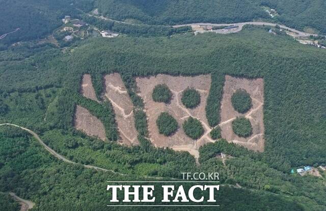 충남도 산림자원연구소 보령사무소가 친환경 경적 목재 수확 우수사례 평가에서 최우수상을 수상했다. /충남도