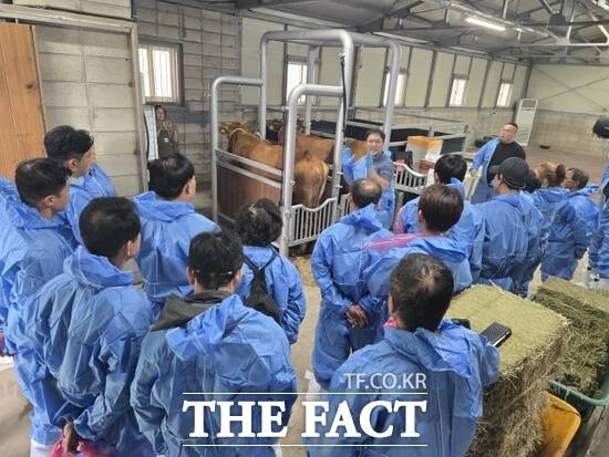 경기도의 한우 난포흡입(난포흡입, Ovum Pick-Up) 수정란 기술 교육에 참여한 교육생들이 진지한 모습의 실습형 강의를 경청하고 있다. /경기도