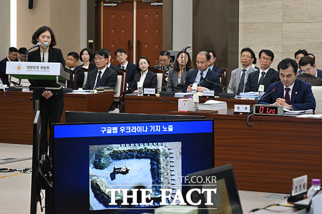 국방부 국정감사에 참고인으로 출석한 황성혜 구글코리아 부사장. /국회사진기자단