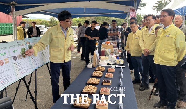 고창군 대성농협땅콩가공사업소가 14일 관내 땅콩 재배농가, 군 관계자 등 100여 명이 참석한 가운데 ‘땅콩 신품종 품평회’를 열었다. /고창군