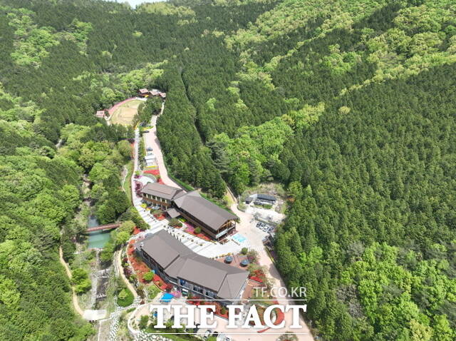 팔영산 편백 치유의 숲 전경. /고흥군