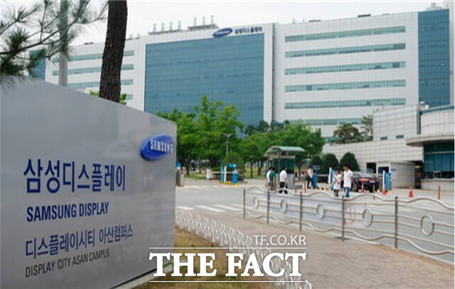 삼성디스플레이 아산캠퍼스 전경. /삼성디스플레이