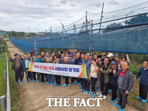 당진시는 14일 과수 농가 농민 50여 명이 참석한 가운데 사과 분야 신기술 보급 시범사업 평가회를 개최했다. /당진시