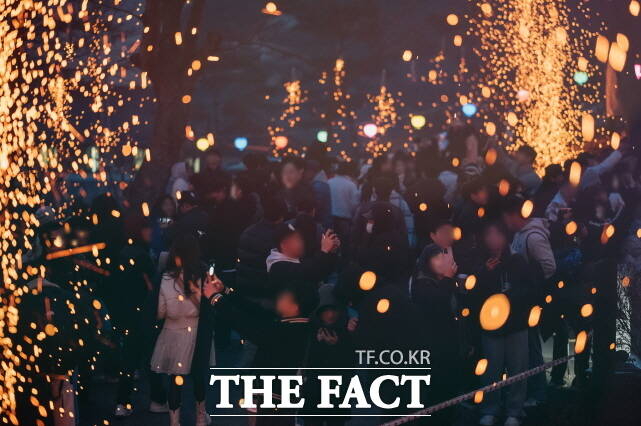 지난해 세종시 중앙공원에서 열린 낙화축제 장면 /세종시
