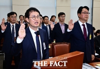  국감 출석해 증인선서하는 김승룡 소방청장 직무대행 [포토]
