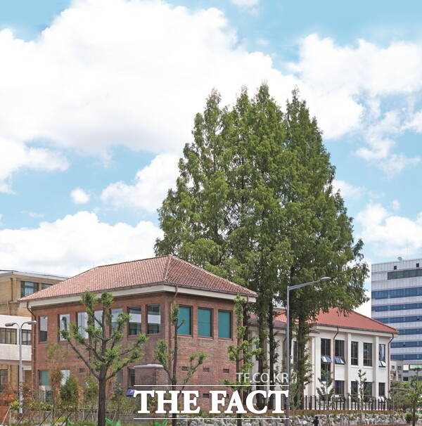 대전 커먼즈필드 전경 /대전사회혁신센터