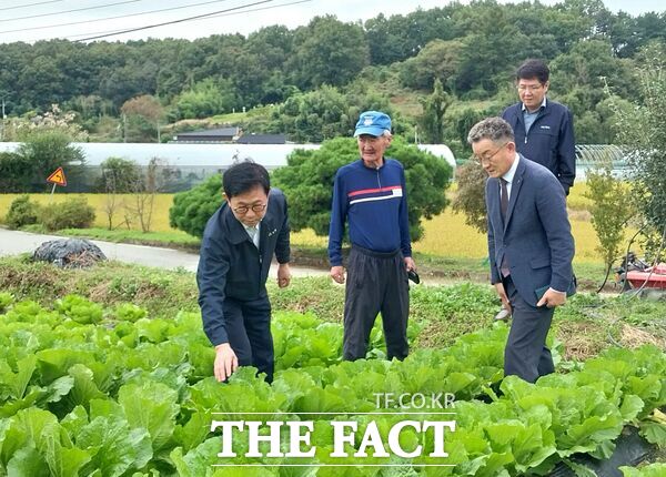 농협 대전본부는 16일 농업 재해를 입은 현장을 방문해 농작물 피해상황을 점검했다. 김영훈 대전농협 본부장이 직접 배추 피해 농가를 방문해 애로사항을 청취하고 있다. /농협대전본부