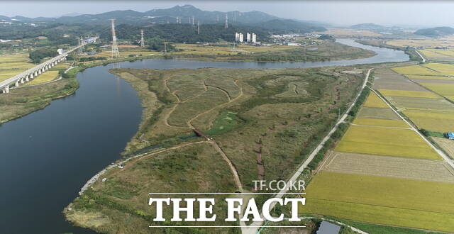 아산시 대표 생태탐방 자원인 곡교천 물억새 군락지. /아산시